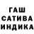 ГАШ гарик Aoi Zum
