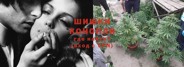 шишки Балахна